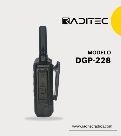 DGP-228 (2)